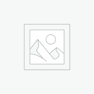 Audio Rental